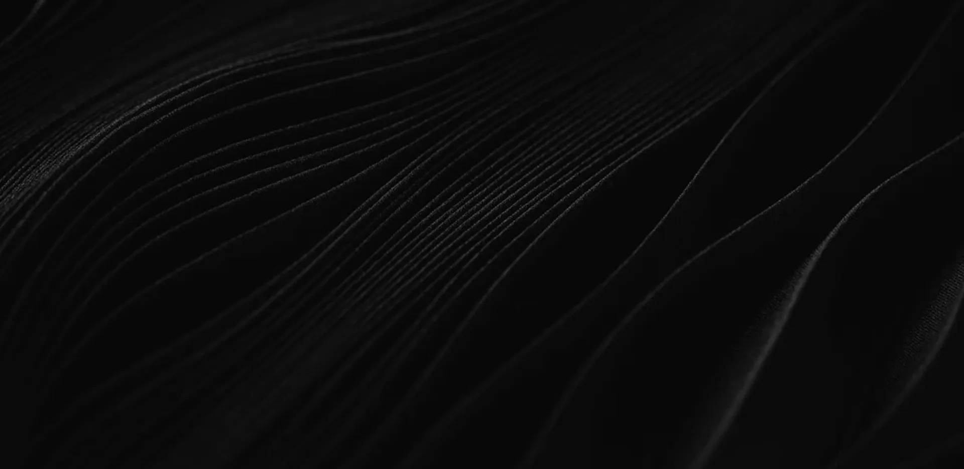 START YOUR WATCH BUSINESS NOW!